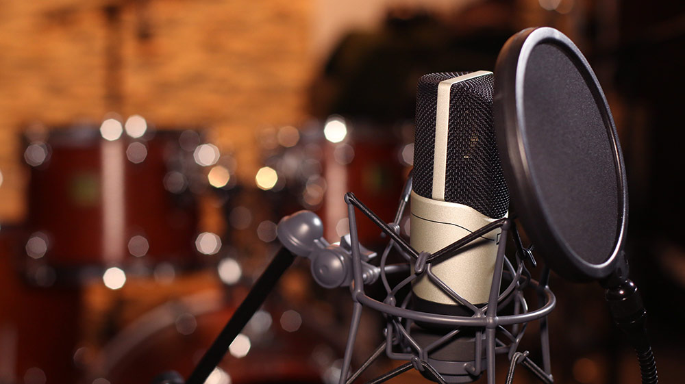 Choose from the variety of microphones for your voice