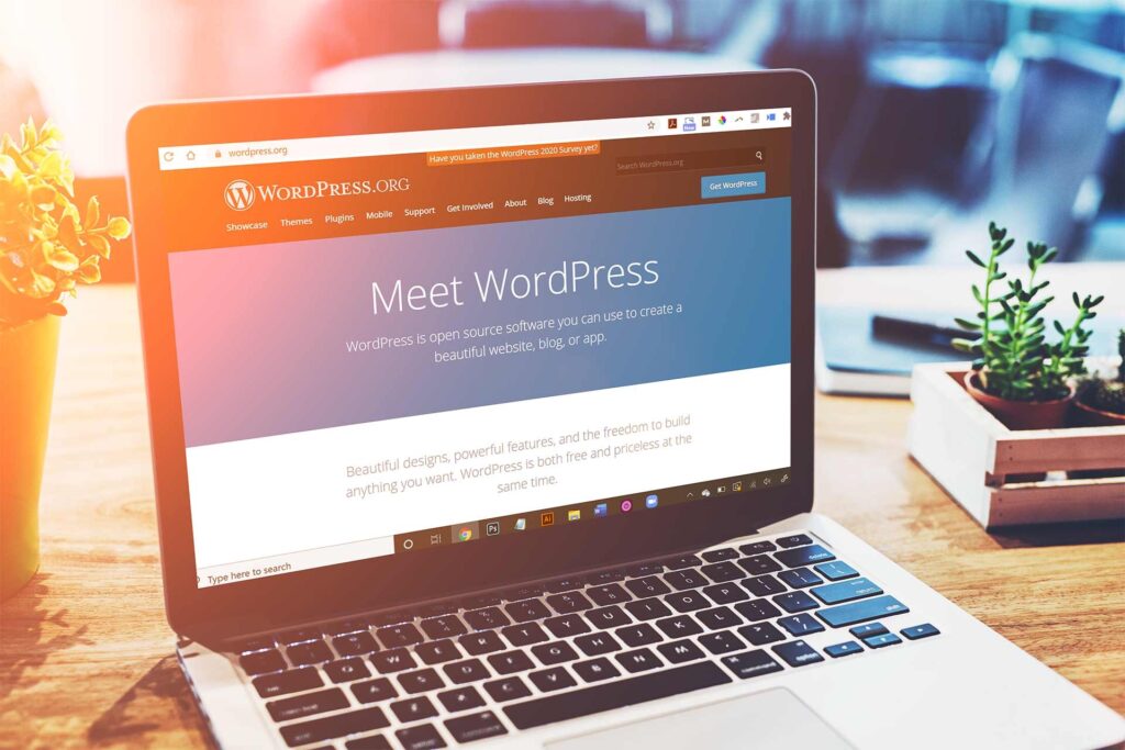 WordPress Websites: To Buy or Not to Buy?
