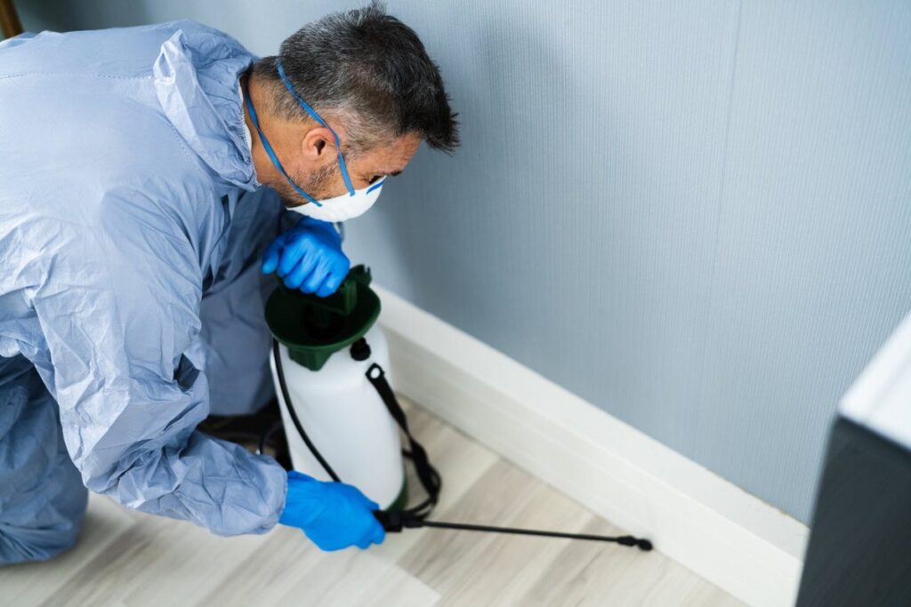 Are you ready to hire a pest control company near you?