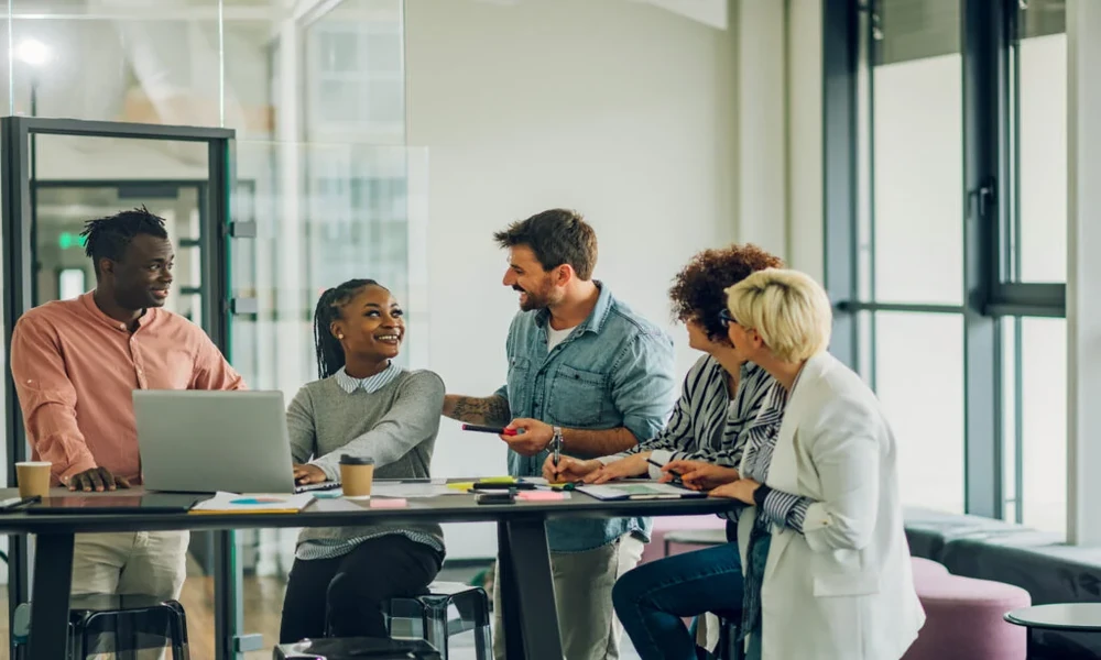 What agencies for fintech establish during a financial identity project?
